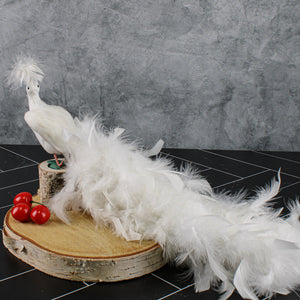 White Feathered Peacock 16in