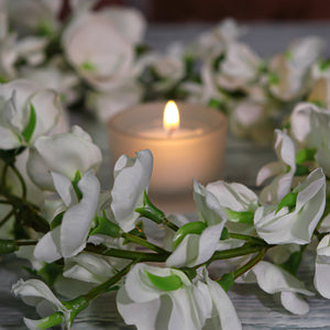 Richland Clear Cup Tealight Candles White Citronella Scented Set of 50