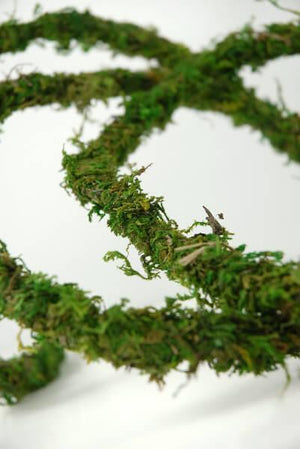 moss vine preserved 12ft