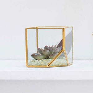 Hira Glass & Brass Terrarium Angled Cube 4.7"