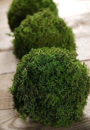 Green Reindeer Moss 4" Balls (set of 3)