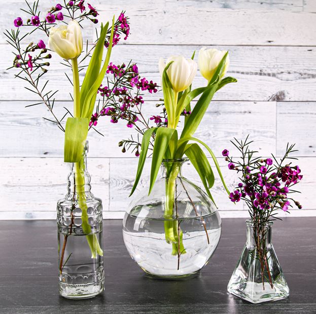Bud Vases