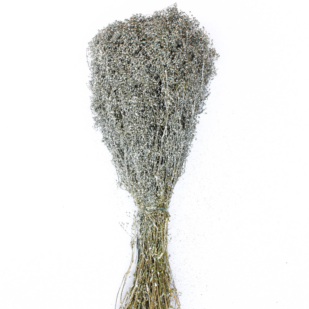 Silver Baby Breath