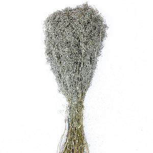 Silver Baby Breath