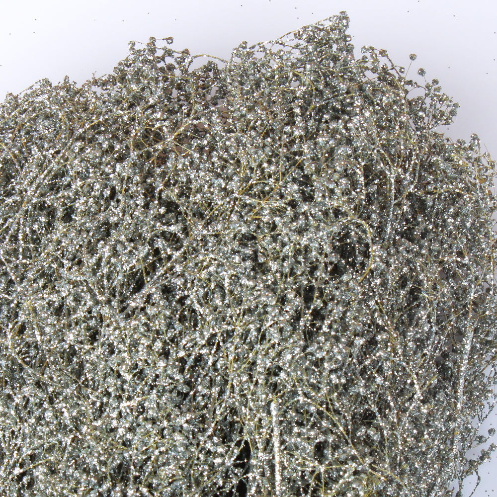 Silver Baby Breath