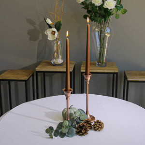 Richland Taper Candles 10" Brown Set of 50