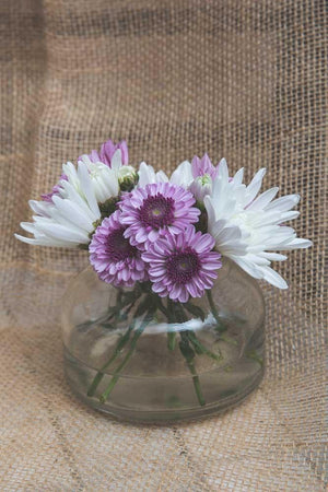 Richland Etta Vase Set of 48