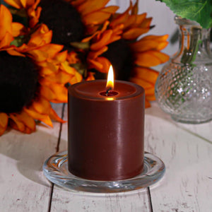 Richland Pillar Candles 3"x3" Brown Set of 12
