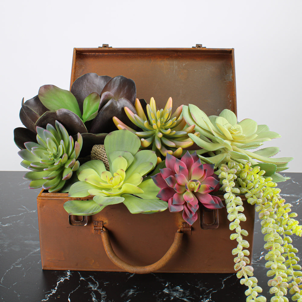 Echeveria Green w/Burgundy Tip 8.5" Natural Touch Succulent