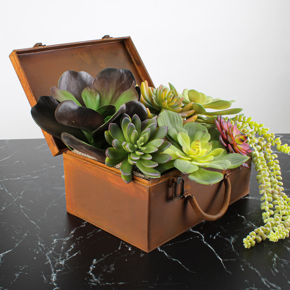 Echeveria Green w/Burgundy Tip 8.5" Natural Touch Succulent