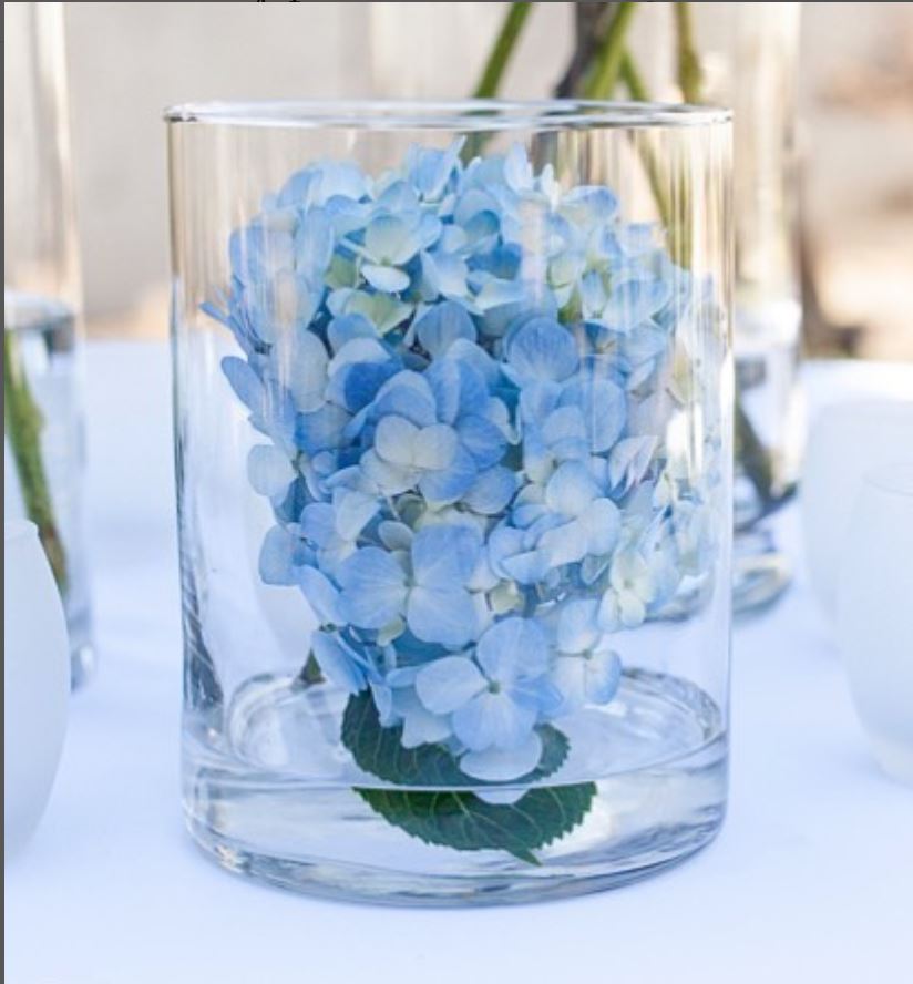 Eastland Wide Cylinder Vase 6" x 8"
