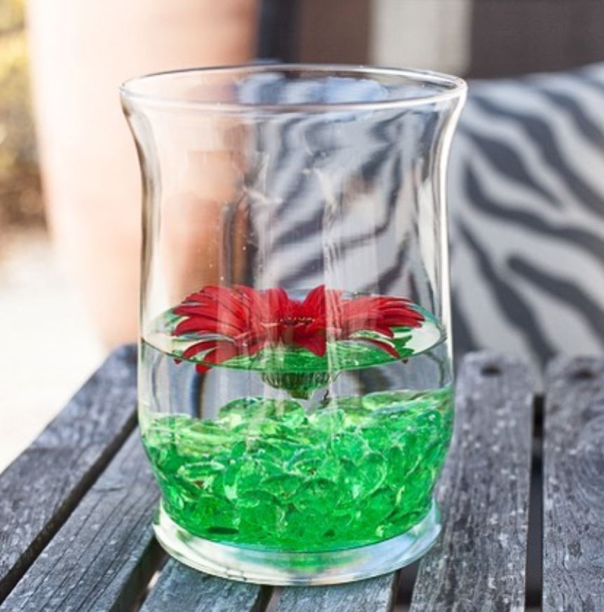 Eastland Adorn Hurricane Vase 6"