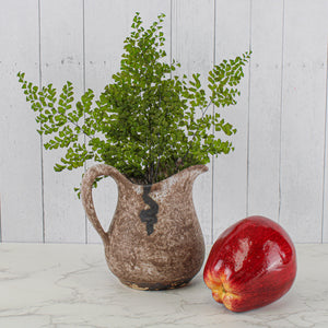 preserved ferns 10in 5 6 stems lutti adianthum