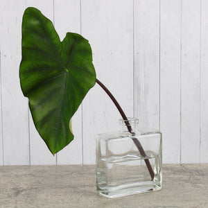 Clear Glass Matic 8.5 ounce Bottles Set of 12