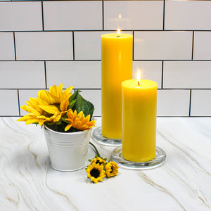 Richland Pillar Candles 3"x9" Yellow Set of 12