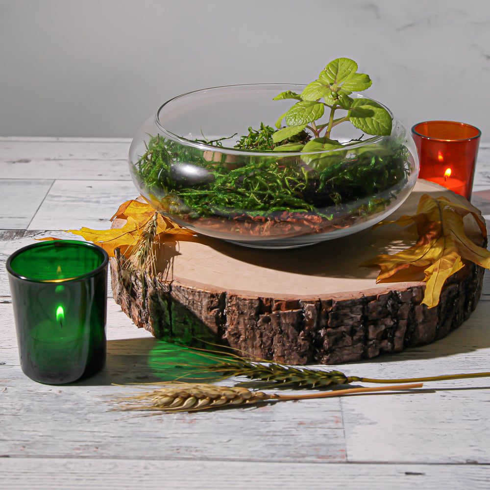 Eastland Votive Holder Green Set of 72