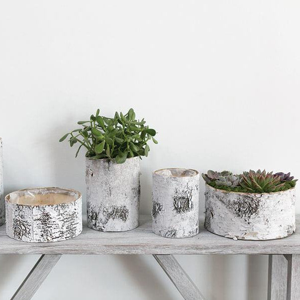 Whitewashed Birch Bark Bowl Vase 10x4.7