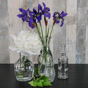 Richland 8" Milk Bottle Vase Set of 6
