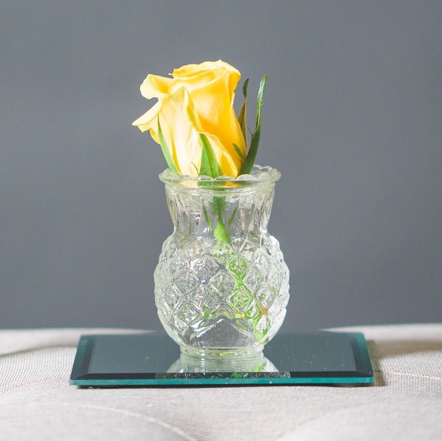 Eastland Square Mirror Coaster 5" Set of 12