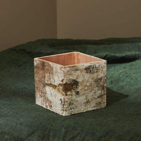 Birch Bark Square Pot with Liner 5in