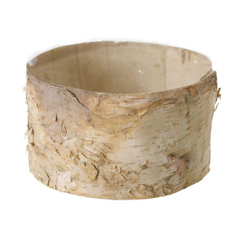 Birch Bark Planter Pot 6.5x 3.5 Inch