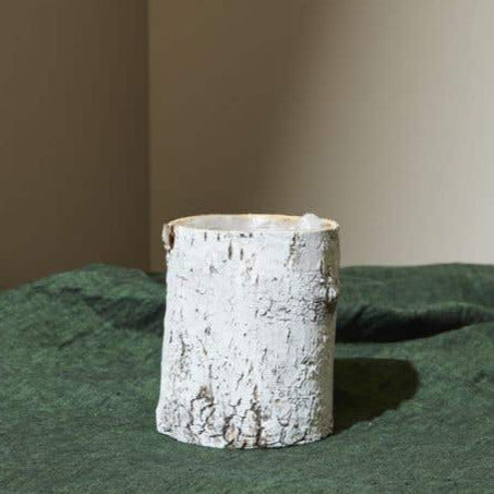 Whitewashed Birch Bark Vase 4.75x6