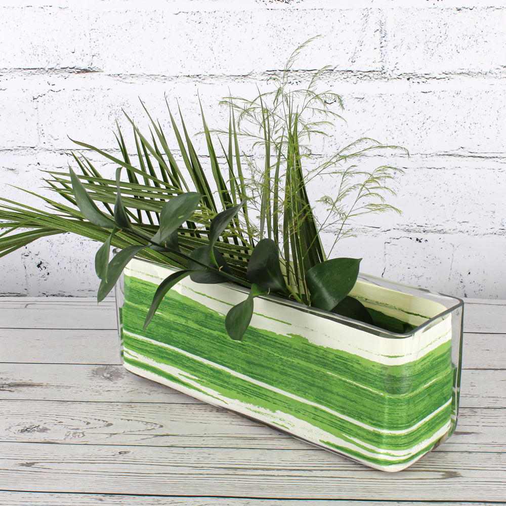 variegated aspidistra leaf 4 ribbon green cream 50 yards