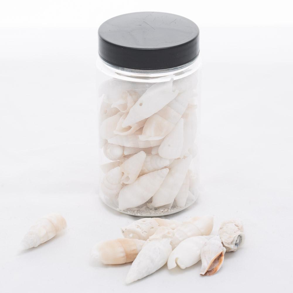 richland conch vase filler set of 24