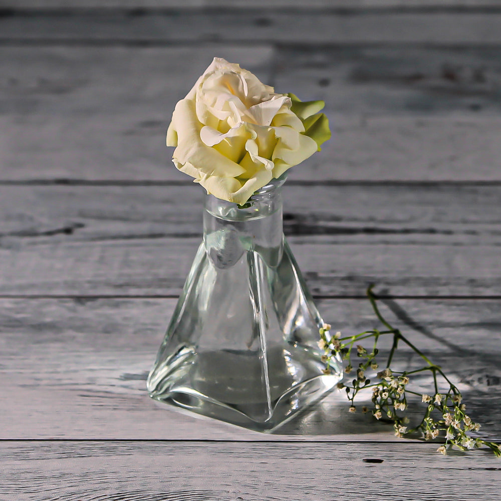 richland tempe bud vase set of 12