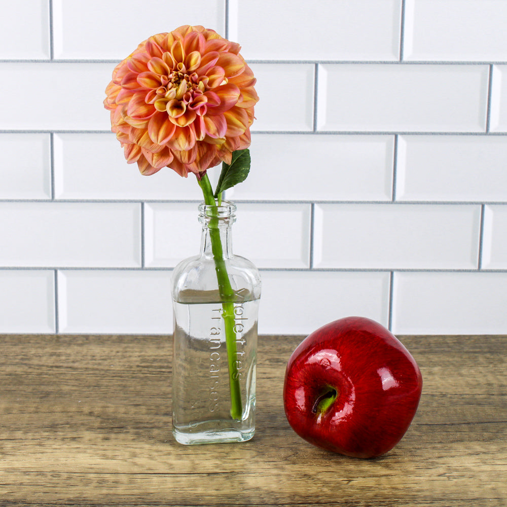richland effie bud vase set of 48