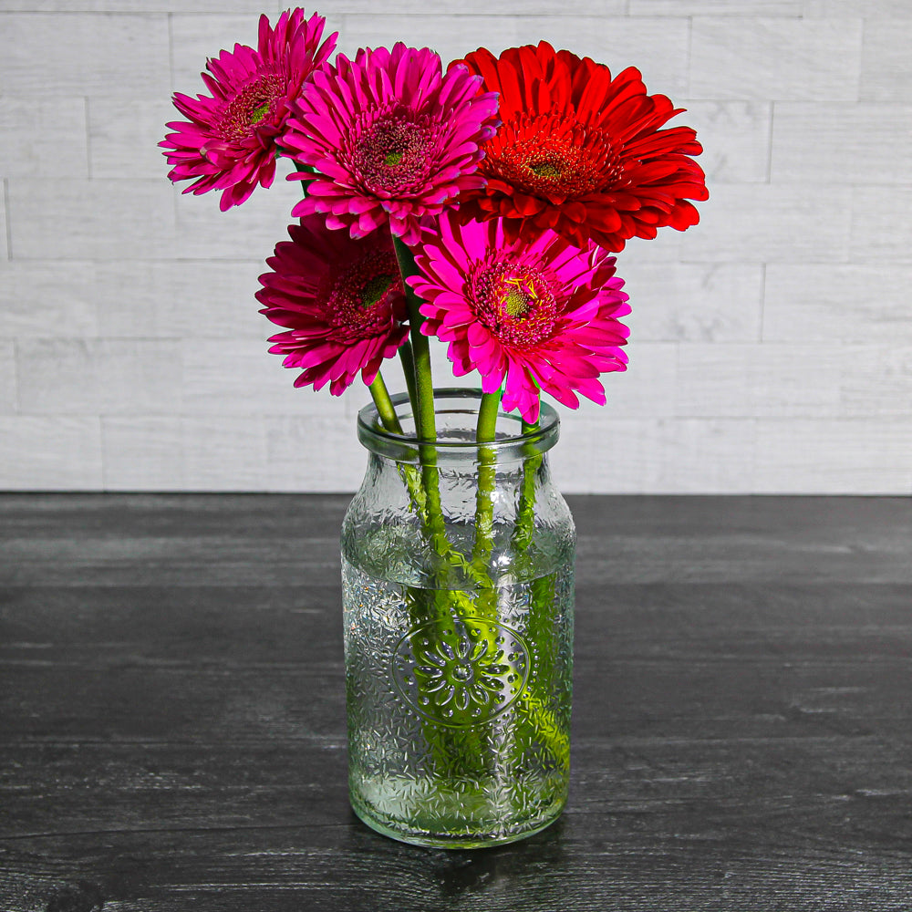 Richland Hickory Farmhouse Jar 7" Set of 24