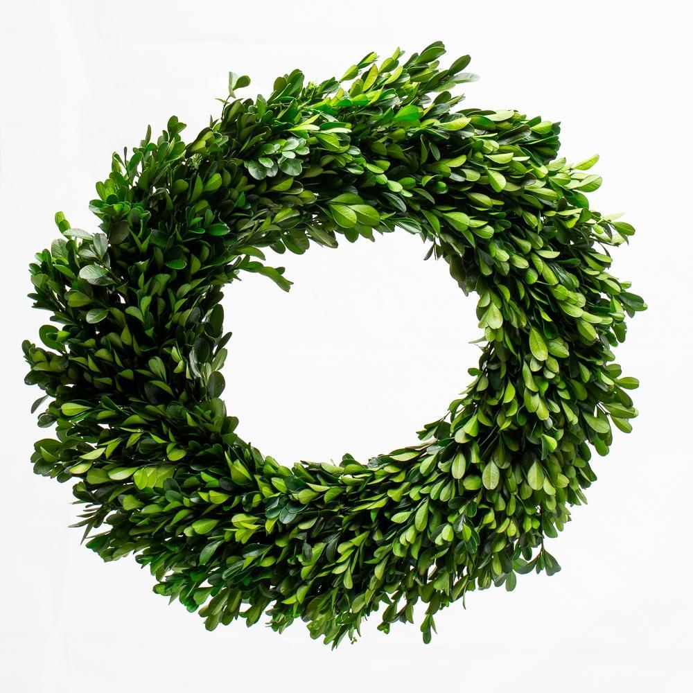 richland preserved boxwood wreath 17 set of 6