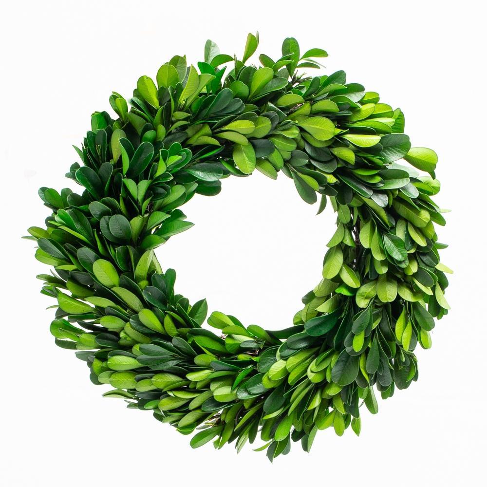 richland preserved boxwood wreath 8 set of 12
