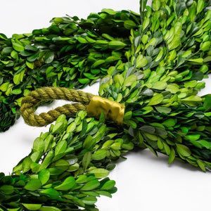 Richland Preserved Boxwood Garland 70" Set of 4