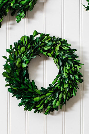 richland preserved boxwood wreath 8 set of 12