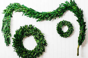 Richland Preserved Boxwood Wreath 8”