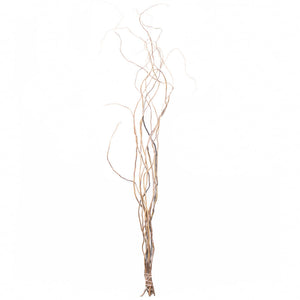 Curly Willow Tree Branch Bundle, 3-4 Feet