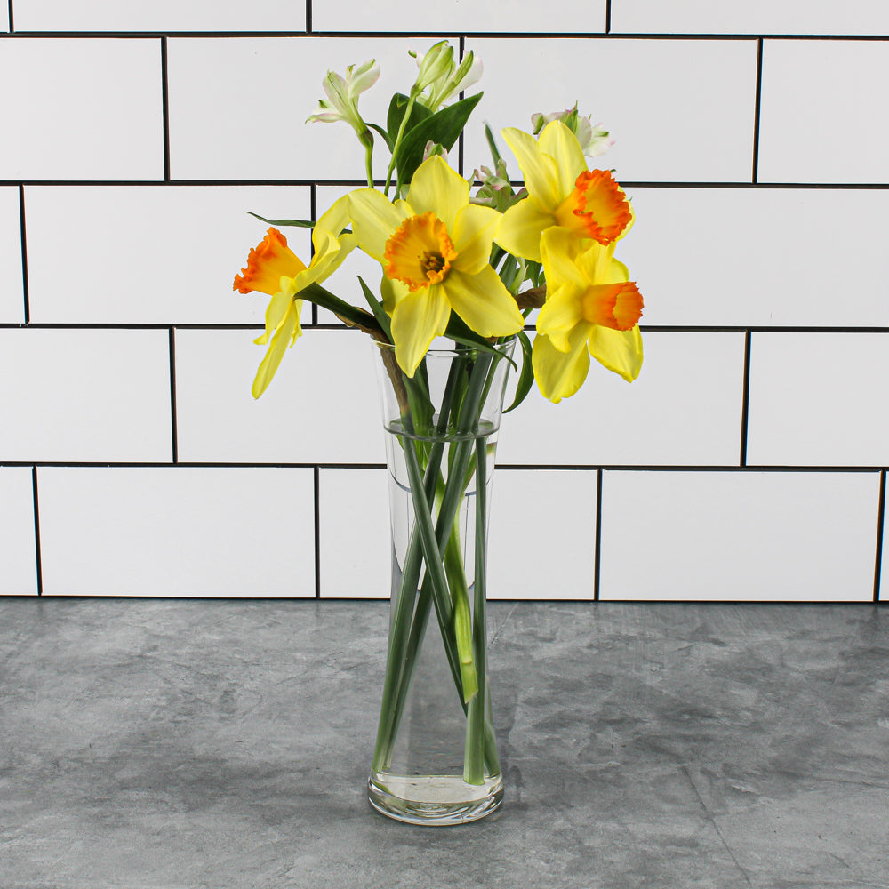 Eastland Sabrina Bud Vase 8" Set of 8