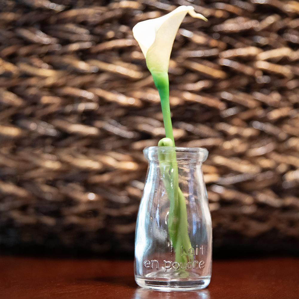 Richland Rhea Bud Vase Set of 12