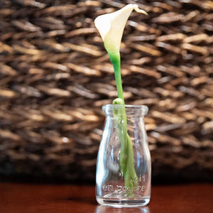 Richland Rhea Bud Vase Set of 12