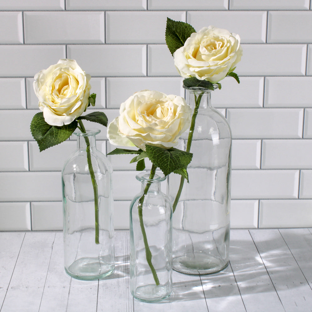 Richland Apothecary Glass Bottle 6" Set of 48