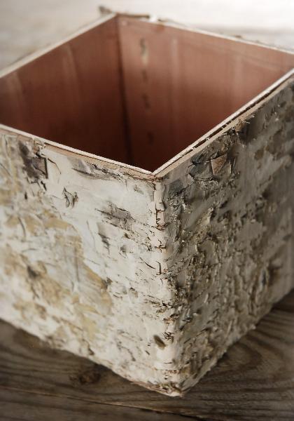 Birch Bark Square Pot with Liner 5in