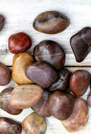 vase filler 2 lbs polished river rocks