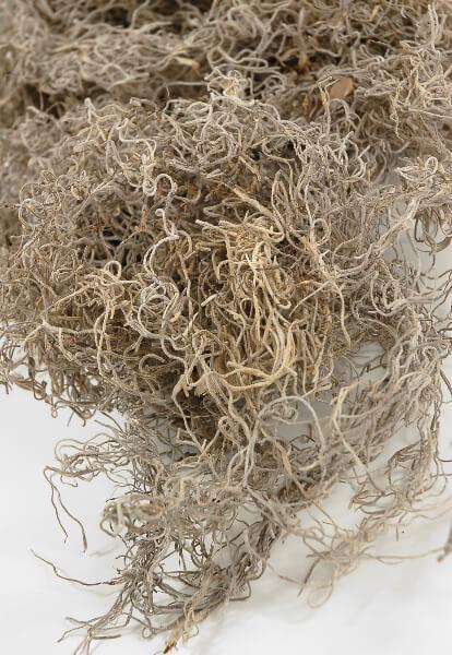 Spanish Moss Natural 125 cubic inches
