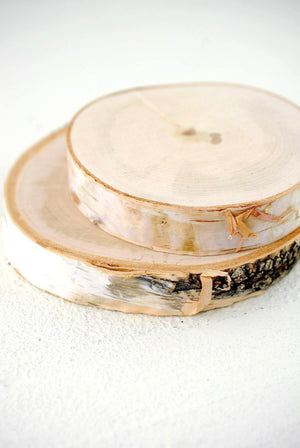 birch slab round tree slice 4 6 in