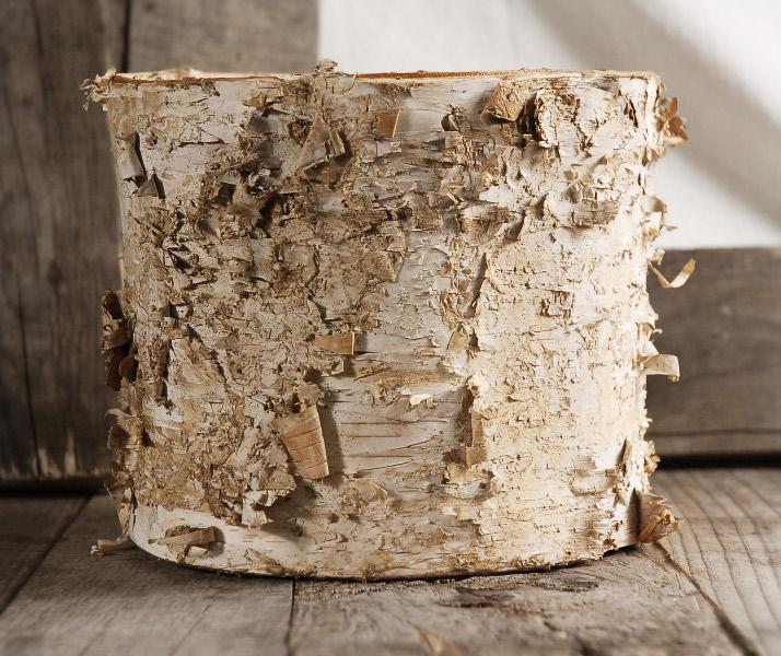 Birch Bark Planter w/ Plastic Liner  7x6
