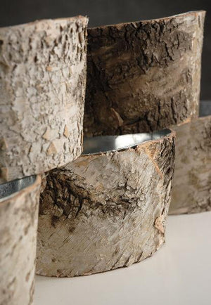 natural birch bark zinc pot planter 6x3