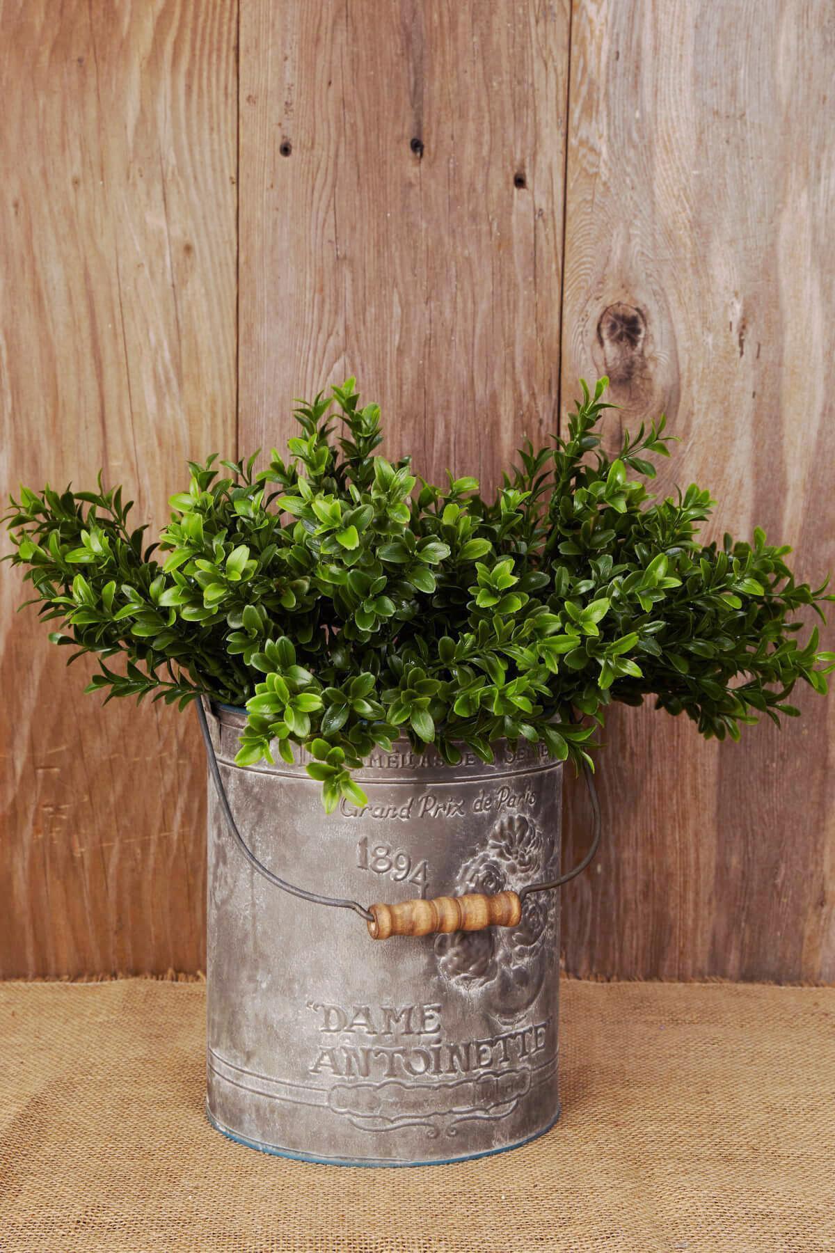 Boxwood Sprays Green 18in Set of 6