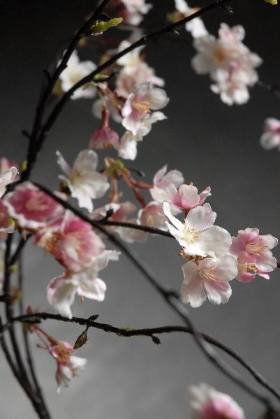 Silk Cherry Blossom Branches 58"
