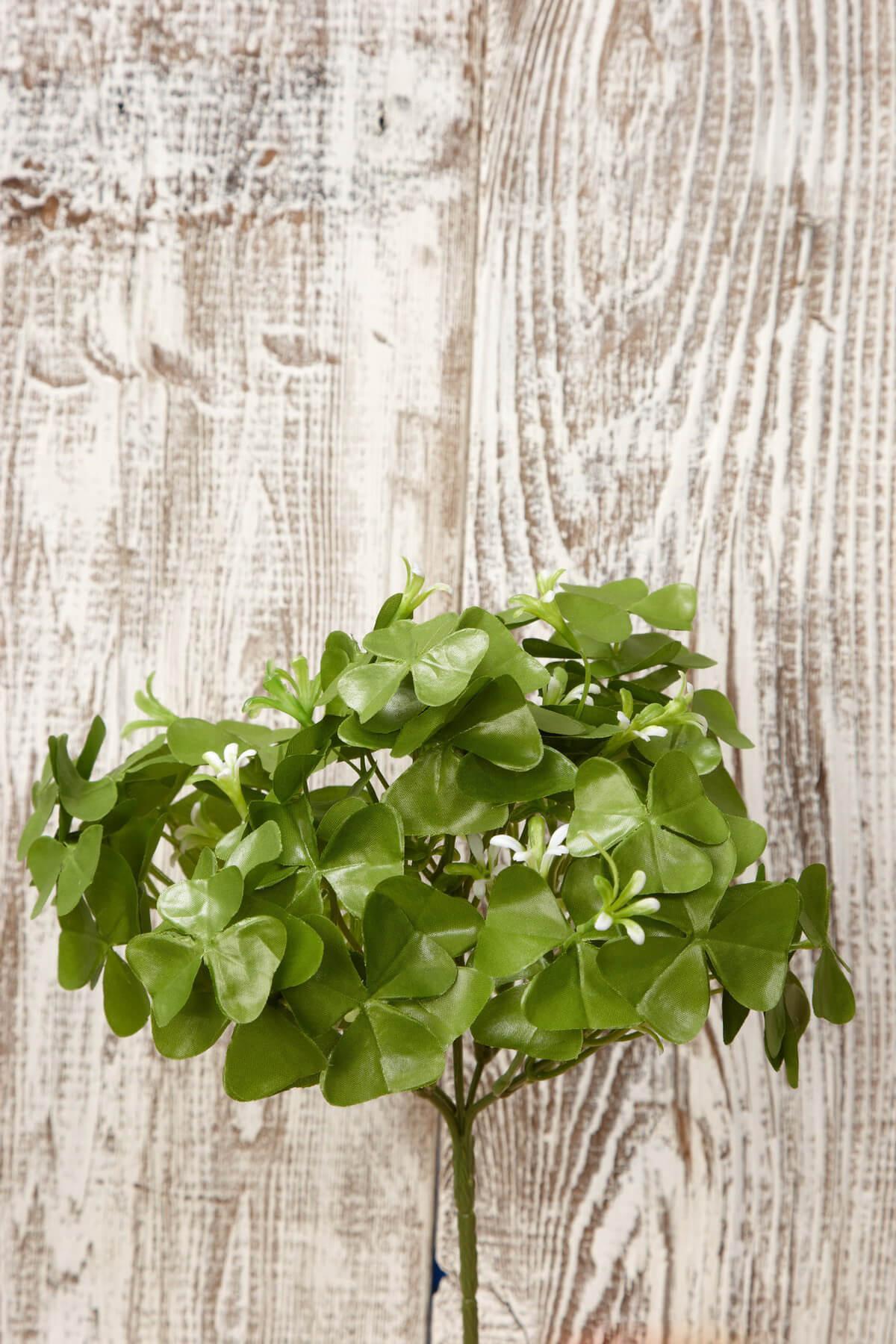 clover bush 9in